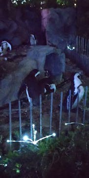 サンシャイン水族館に投稿された画像（2022/9/25）