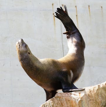 城崎マリンワールドに投稿された画像（2022/9/25）