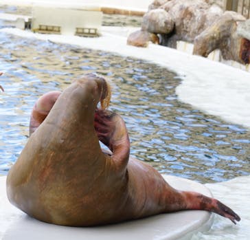 城崎マリンワールドに投稿された画像（2022/9/25）