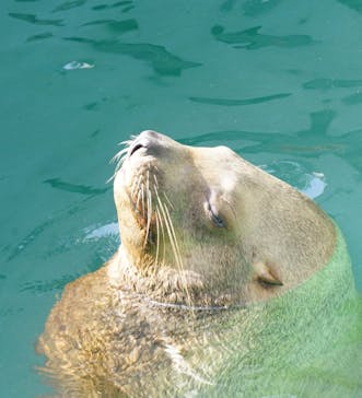 城崎マリンワールドに投稿された画像（2022/9/25）