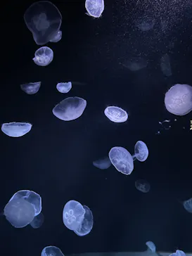 サンシャイン水族館に投稿された画像（2022/9/25）