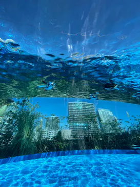 サンシャイン水族館に投稿された画像（2022/9/25）