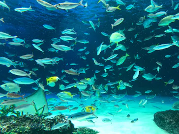 サンシャイン水族館に投稿された画像（2022/9/25）