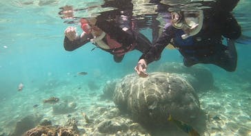 武藤潜水に投稿された画像（2022/9/25）