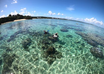 武藤潜水に投稿された画像（2022/9/25）