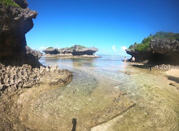 武藤潜水に投稿された画像（2022/9/25）