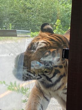 秋吉台自然動物公園 サファリランドに投稿された画像（2022/9/25）