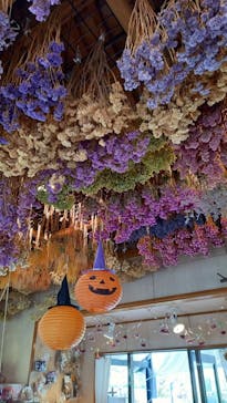 牧歌の里に投稿された画像（2022/9/25）