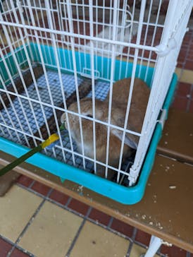 恵那峡ワンダーランドに投稿された画像（2022/9/25）