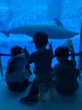 名古屋港水族館に投稿された画像（2022/9/26）