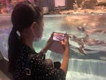 すみだ水族館に投稿された画像（2022/9/26）
