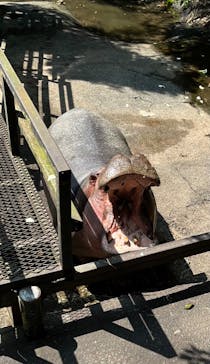 長崎バイオパークに投稿された画像（2022/9/26）