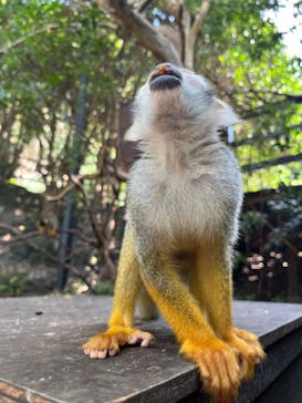 長崎バイオパークに投稿された画像（2022/9/26）