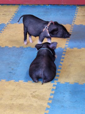 ワールド牧場に投稿された画像（2022/9/26）