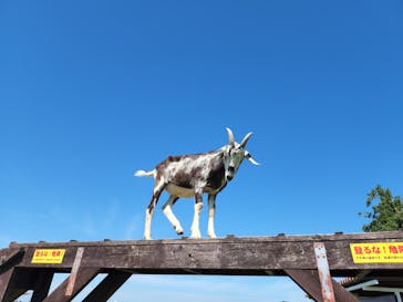 ワールド牧場に投稿された画像（2022/9/26）