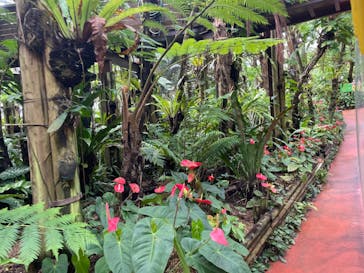 ナゴパイナップルパークに投稿された画像（2022/9/26）