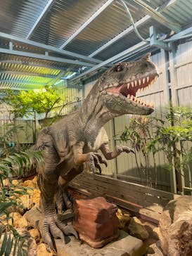 ナゴパイナップルパークに投稿された画像（2022/9/26）