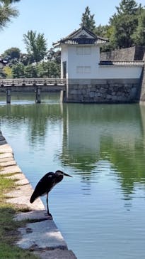 元離宮二条城に投稿された画像（2022/9/26）