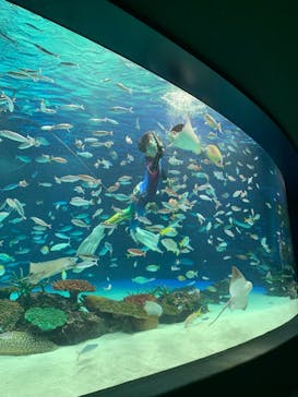 サンシャイン水族館に投稿された画像（2022/9/26）
