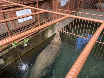 熱川バナナワニ園に投稿された画像（2022/9/26）