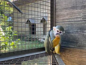 ひらかたパークに投稿された画像（2022/9/26）