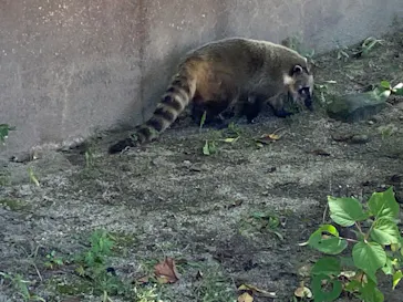 ひらかたパークに投稿された画像（2022/9/26）