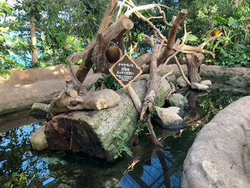 神戸どうぶつ王国に投稿された画像（2022/9/26）