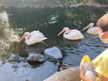 神戸どうぶつ王国に投稿された画像（2022/9/26）