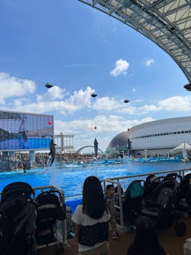 名古屋港水族館に投稿された画像（2022/9/26）
