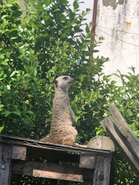 東武動物公園に投稿された画像（2022/9/26）