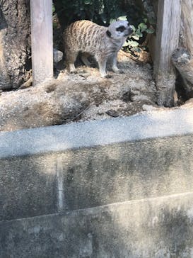 東武動物公園に投稿された画像（2022/9/26）
