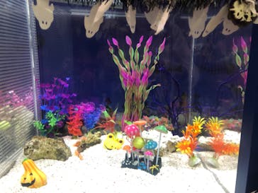 名古屋港水族館に投稿された画像（2022/9/26）