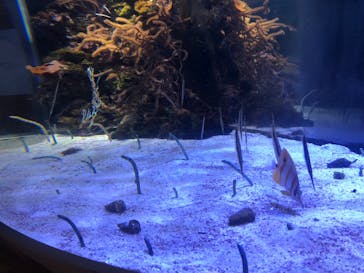 名古屋港水族館に投稿された画像（2022/9/26）