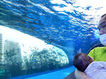 サンシャイン水族館に投稿された画像（2022/9/26）