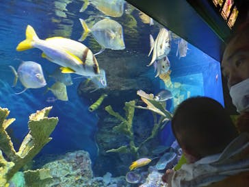 サンシャイン水族館に投稿された画像（2022/9/26）