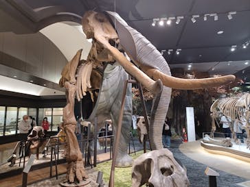 滋賀県立琵琶湖博物館に投稿された画像（2022/9/26）