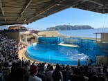 新江ノ島水族館に投稿された画像（2022/9/26）
