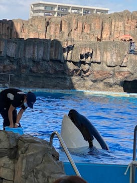 名古屋港水族館に投稿された画像（2022/9/26）