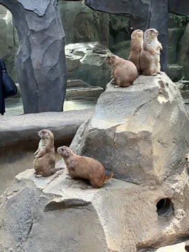 神戸どうぶつ王国に投稿された画像（2022/9/26）