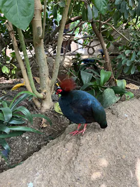 神戸どうぶつ王国に投稿された画像（2022/9/26）