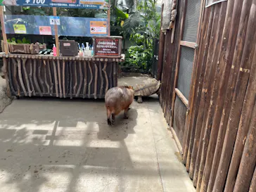 神戸どうぶつ王国に投稿された画像（2022/9/26）