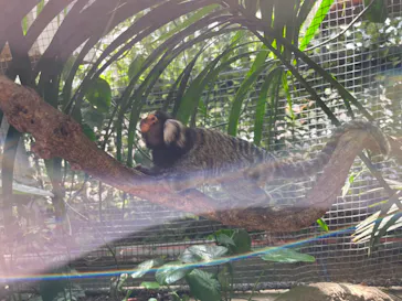 神戸どうぶつ王国に投稿された画像（2022/9/26）