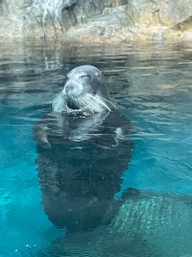 大分マリーンパレス水族館 「うみたまご」に投稿された画像（2022/9/26）