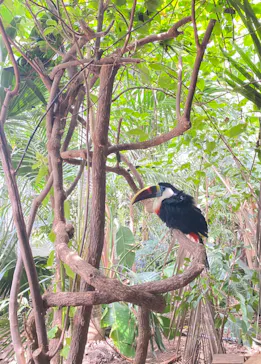 神戸どうぶつ王国に投稿された画像（2022/9/26）