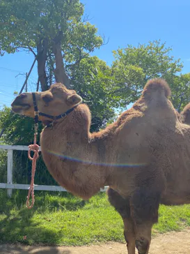 神戸どうぶつ王国に投稿された画像（2022/9/26）