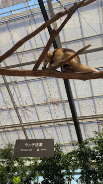 神戸どうぶつ王国に投稿された画像（2022/9/26）