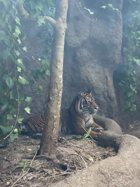 神戸どうぶつ王国に投稿された画像（2022/9/26）