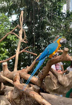 神戸どうぶつ王国に投稿された画像（2022/9/26）