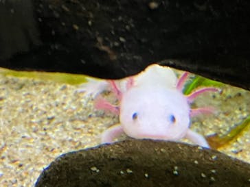 サンシャイン水族館に投稿された画像（2022/9/26）