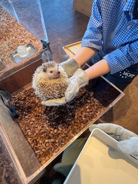 Moff animal cafe 小田原ダイナシティ店に投稿された画像（2022/9/26）